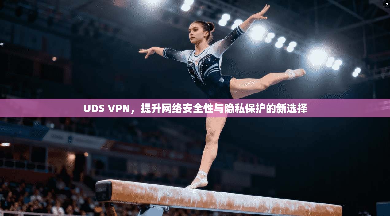 UDS VPN，提升网络安全性与隐私保护的新选择