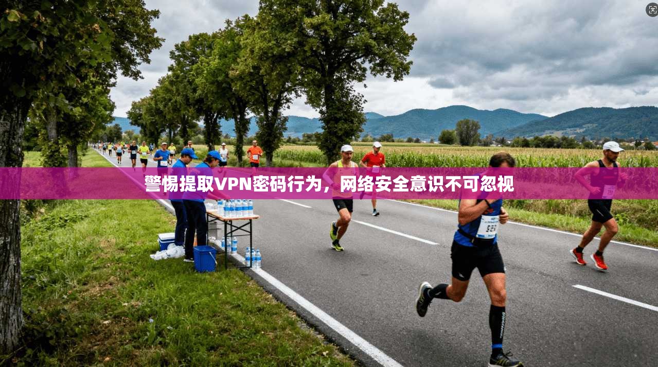 警惕提取VPN密码行为，网络安全意识不可忽视