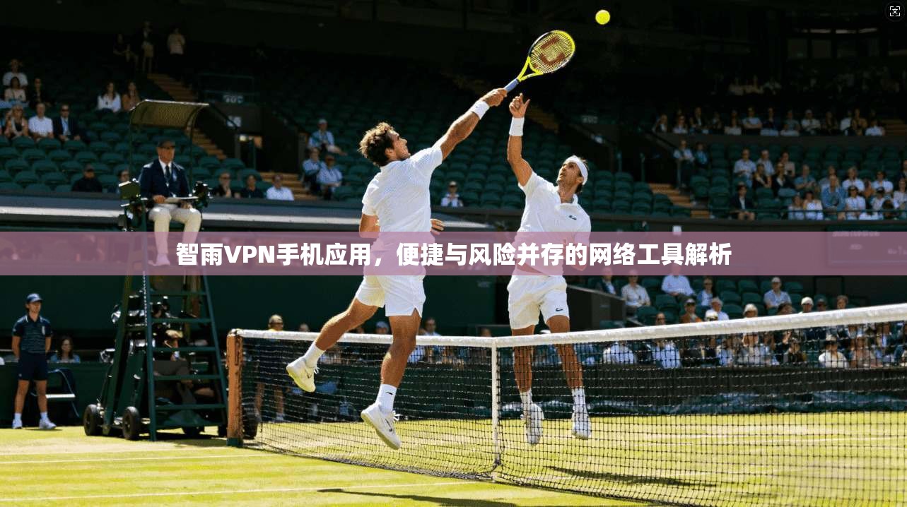 智雨VPN手机应用，便捷与风险并存的网络工具解析