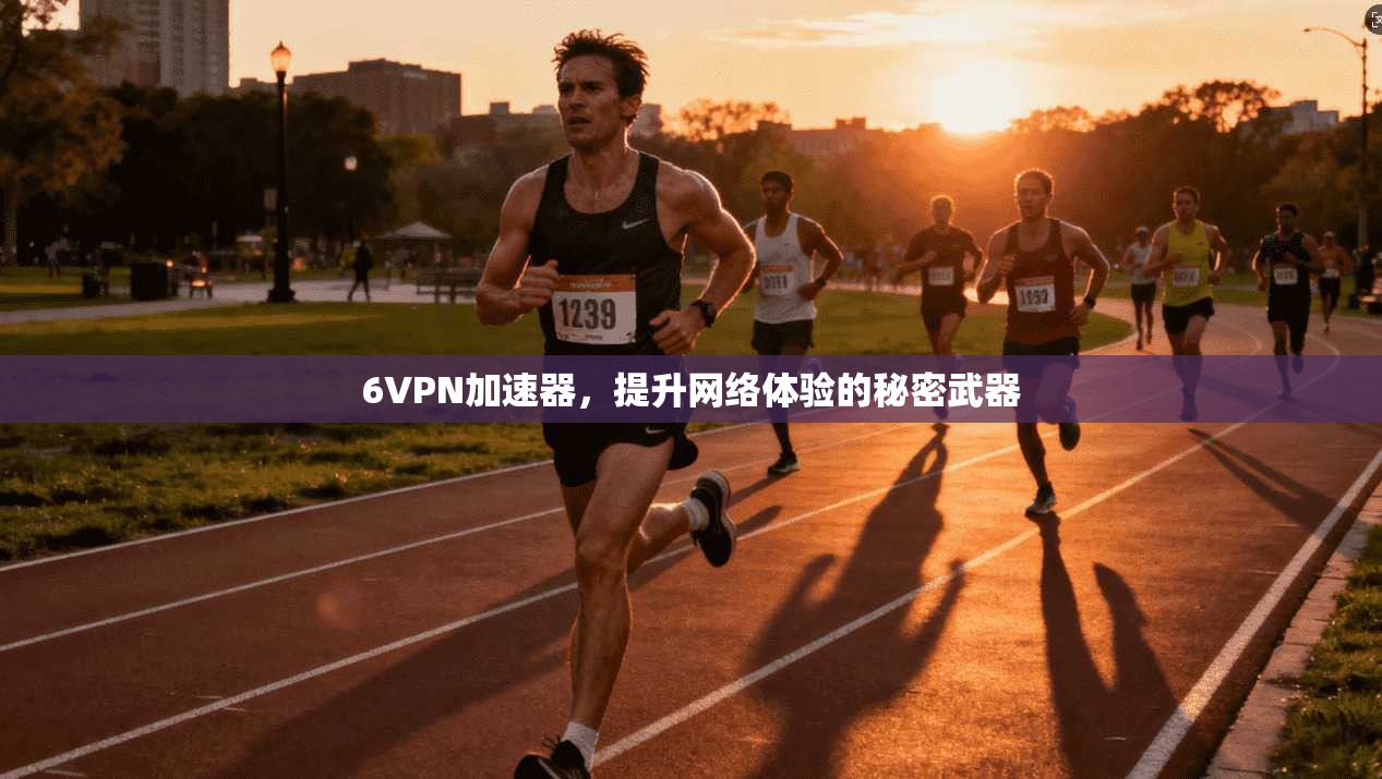 6VPN加速器，提升网络体验的秘密武器