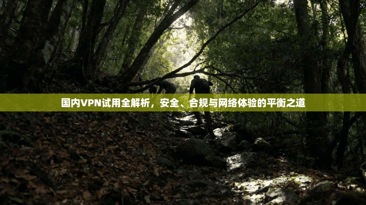 国内VPN试用全解析，安全、合规与网络体验的平衡之道