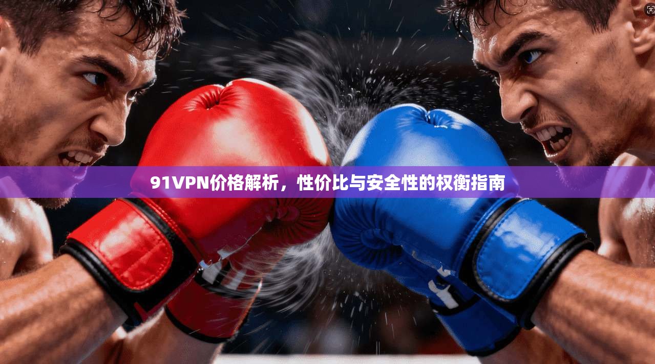91VPN价格解析，性价比与安全性的权衡指南