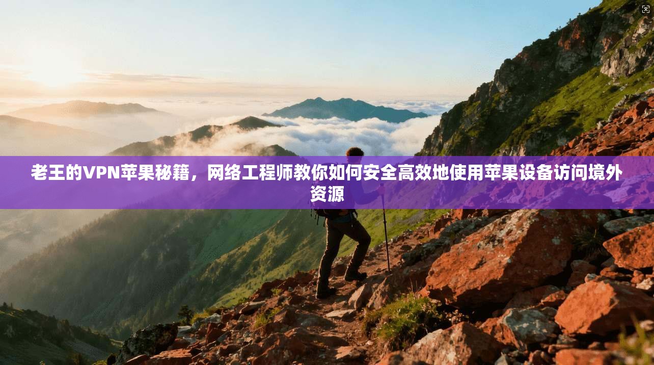 老王的VPN苹果秘籍，网络工程师教你如何安全高效地使用苹果设备访问境外资源