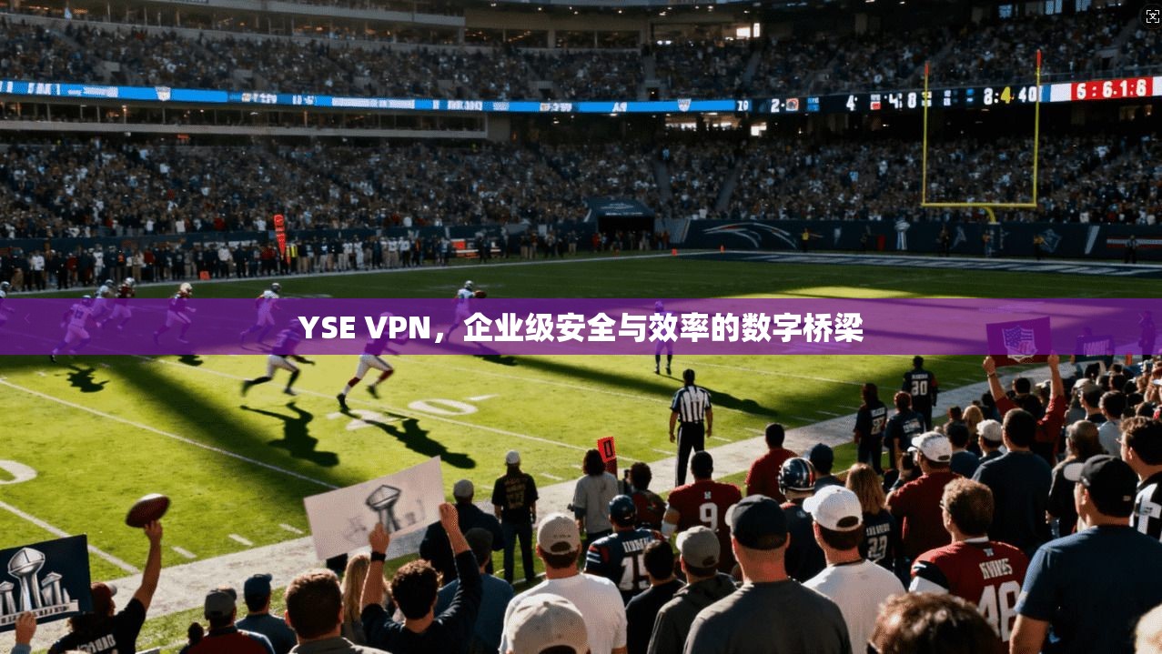 YSE VPN，企业级安全与效率的数字桥梁