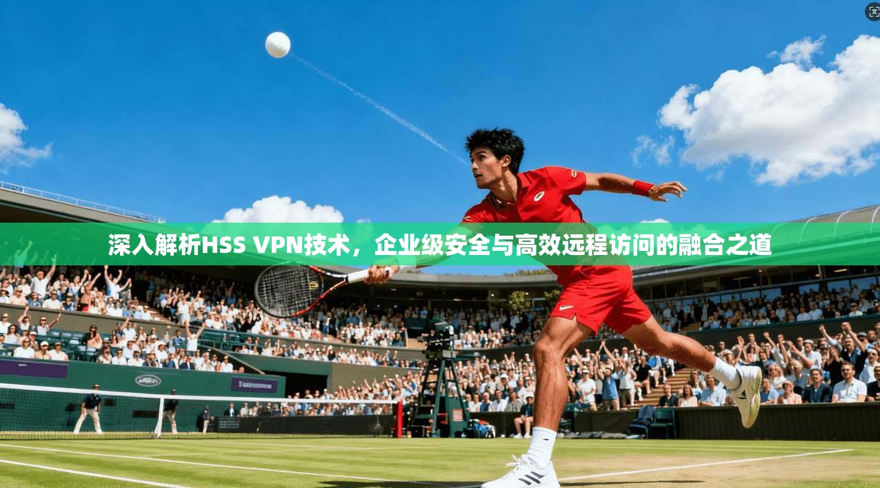 深入解析HSS VPN技术，企业级安全与高效远程访问的融合之道