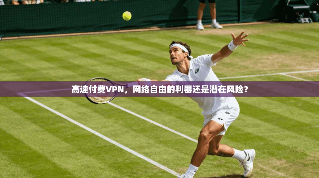 高速付费VPN，网络自由的利器还是潜在风险？
