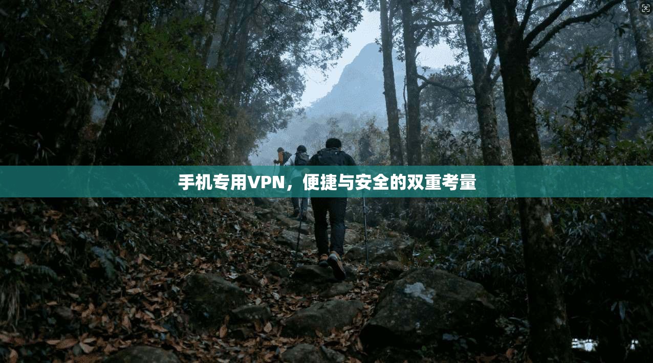 手机专用VPN，便捷与安全的双重考量