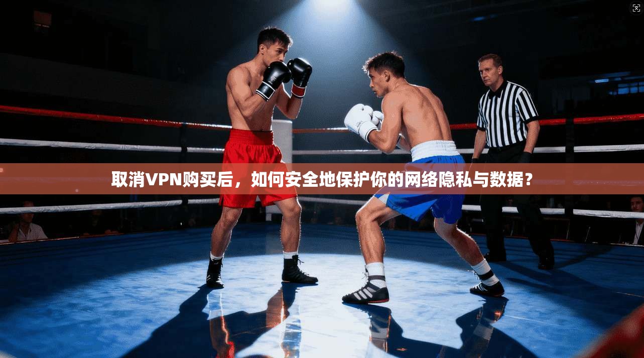 取消VPN购买后，如何安全地保护你的网络隐私与数据？