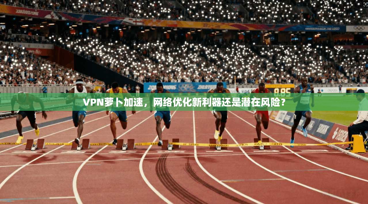 VPN萝卜加速，网络优化新利器还是潜在风险？