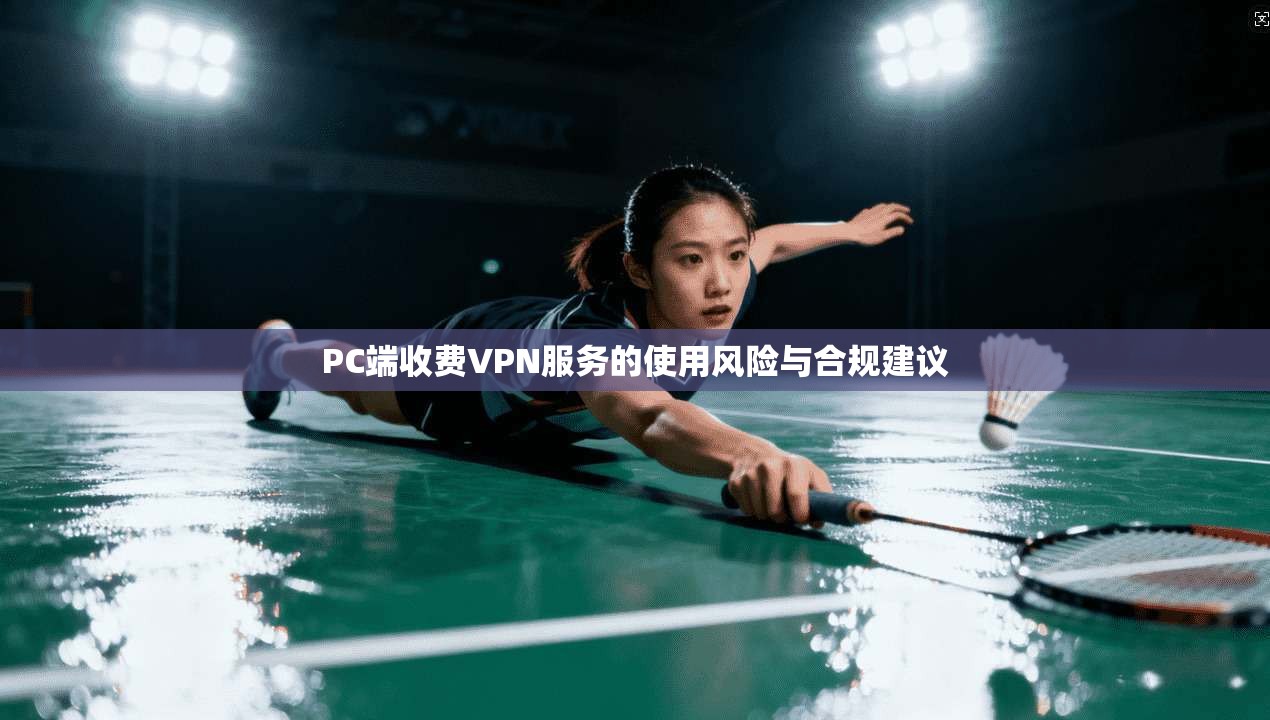 PC端收费VPN服务的使用风险与合规建议