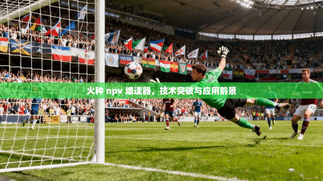 火种 npv 增速器,技术突破与应用前景 第1张 火种 npv 增速器,技术突破与应用前景 第1张
