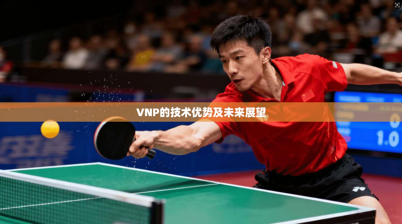 VNP的技术优势及未来展望  第1张