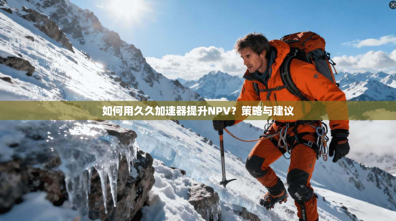 如何用久久加速器提升NPV？策略与建议  第1张