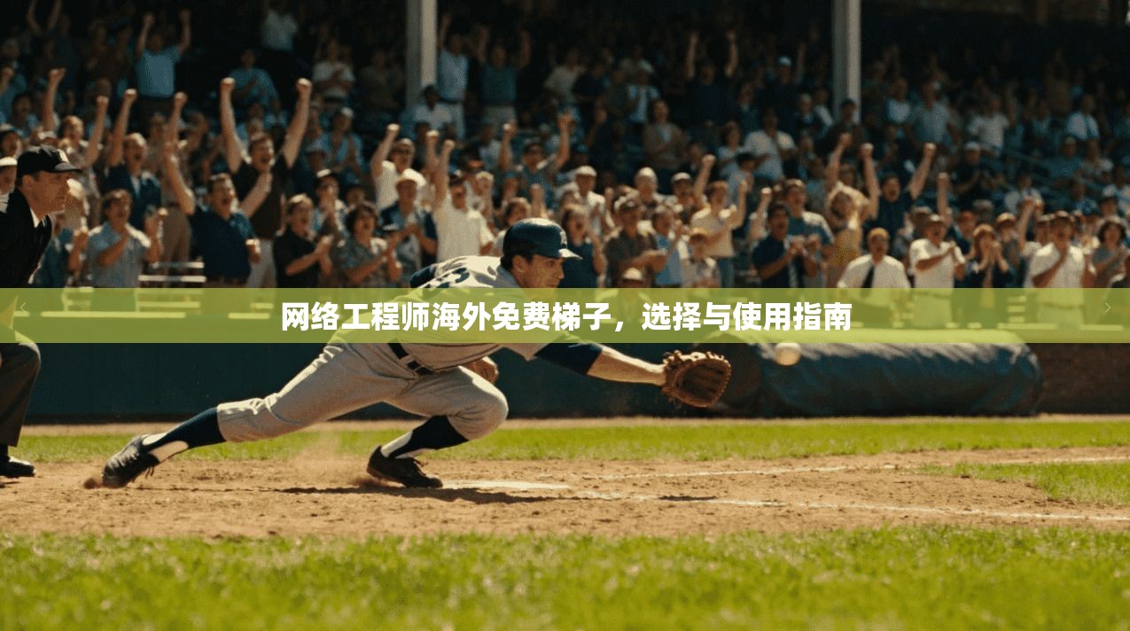 网络工程师海外免费梯子，选择与使用指南  第1张