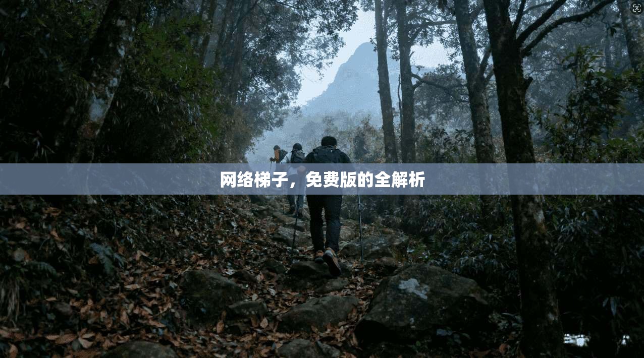 网络梯子,免费版的全解析 第1张 网络梯子,免费版的全解析 第1张