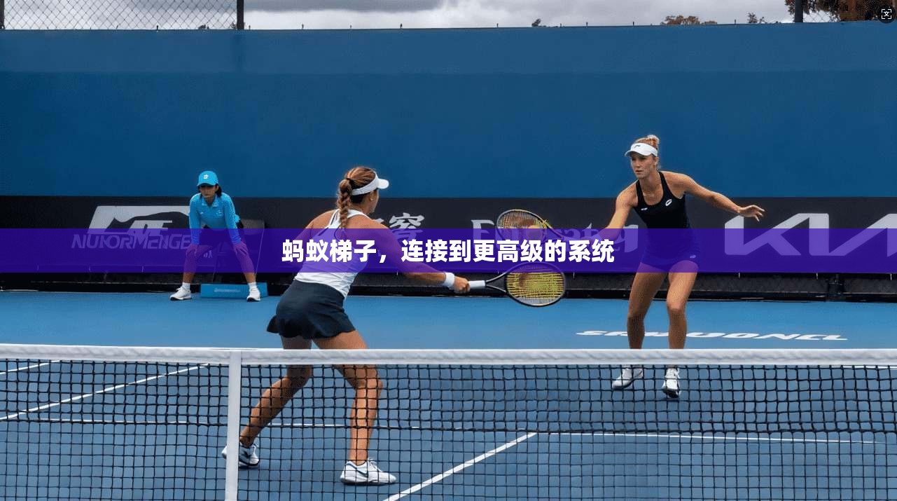 蚂蚁梯子，连接到更高级的系统  第1张