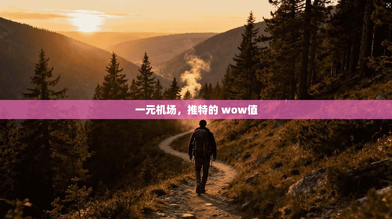 一元机场,推特的 wow值 第1张 一元机场,推特的 wow值 第1张
