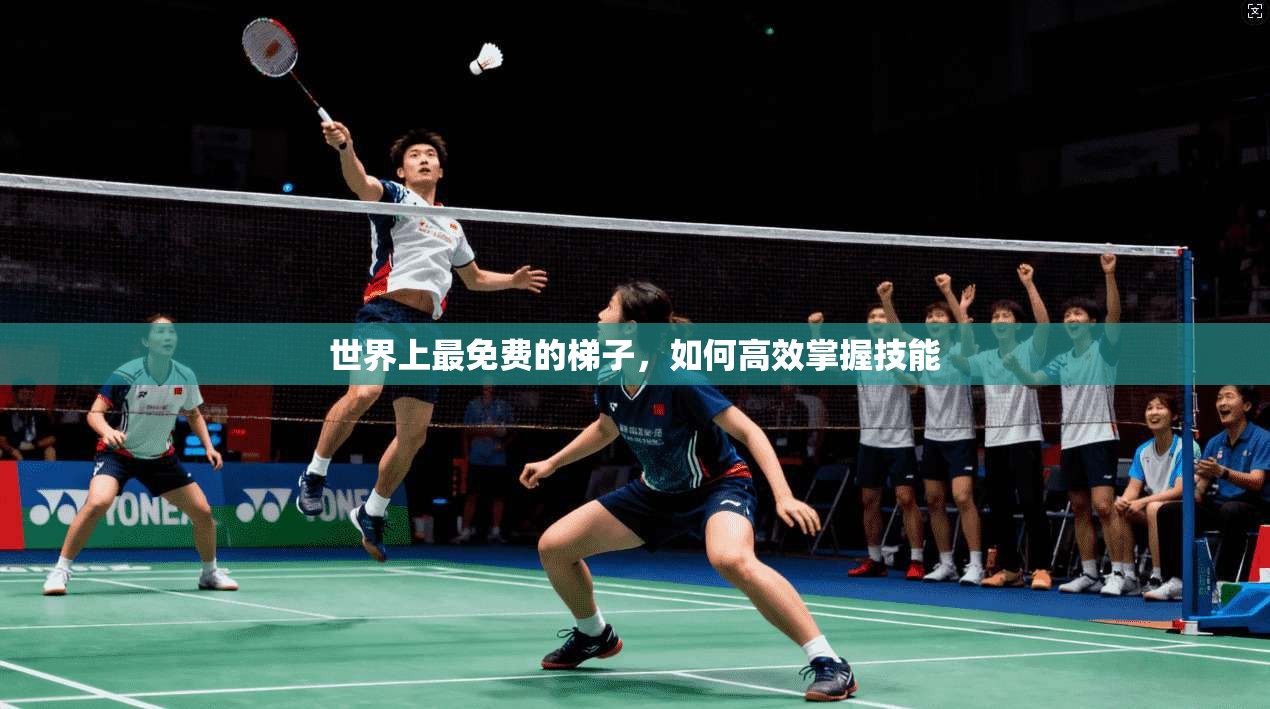 世界上最免费的梯子，如何高效掌握技能  第1张