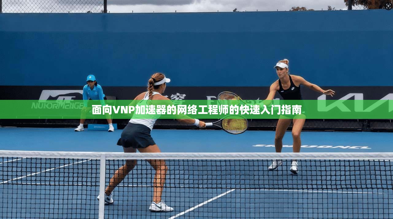 面向VNP加速器的网络工程师的快速入门指南  第1张