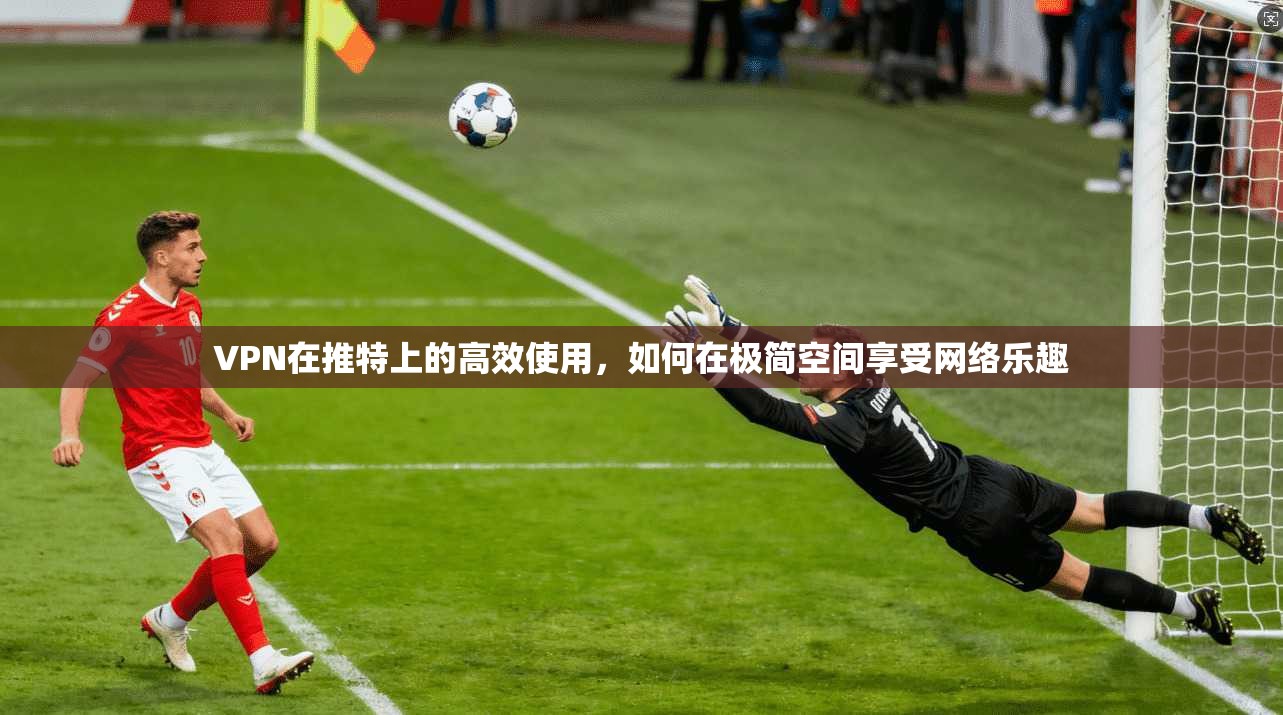 VPN在推特上的高效使用，如何在极简空间享受网络乐趣  第1张