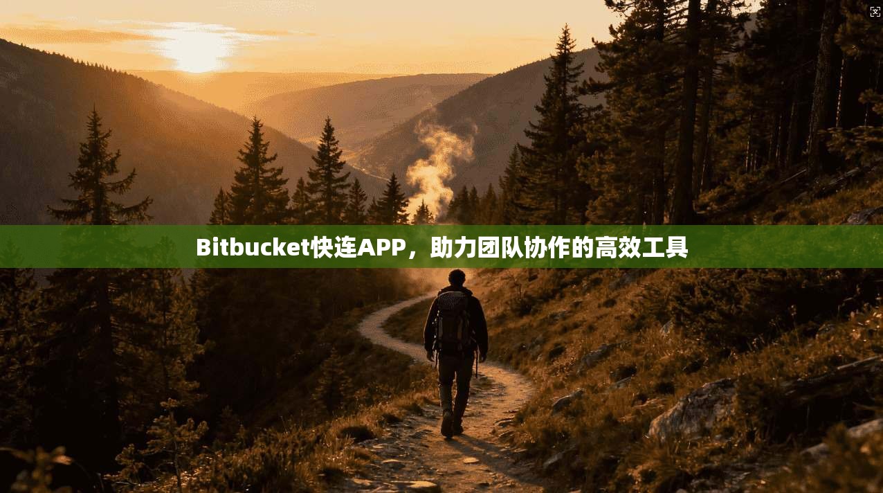 Bitbucket快连APP，助力团队协作的高效工具  第1张