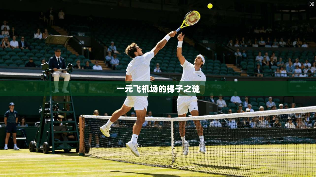 一元飞机场的梯子之谜 第1张 一元飞机场的梯子之谜 第1张