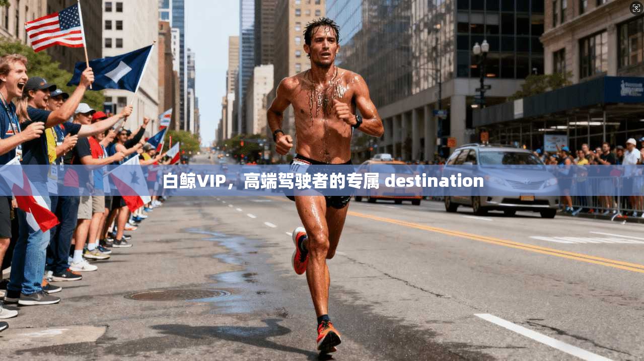白鲸VIP，高端驾驶者的专属 destination  第1张