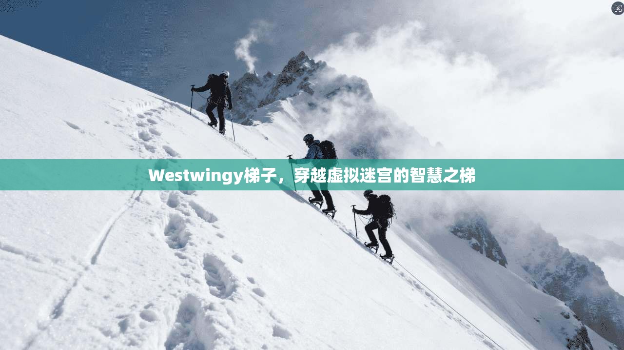 Westwingy梯子，穿越虚拟迷宫的智慧之梯  第1张