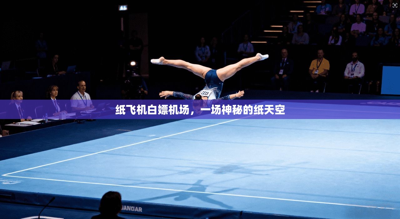纸飞机白嫖机场，一场神秘的纸天空  第1张