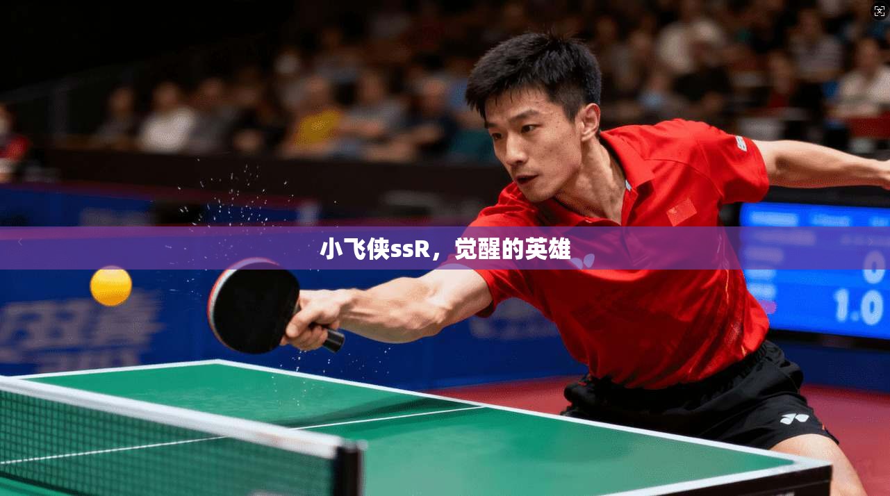 小飞侠ssR，觉醒的英雄  第1张