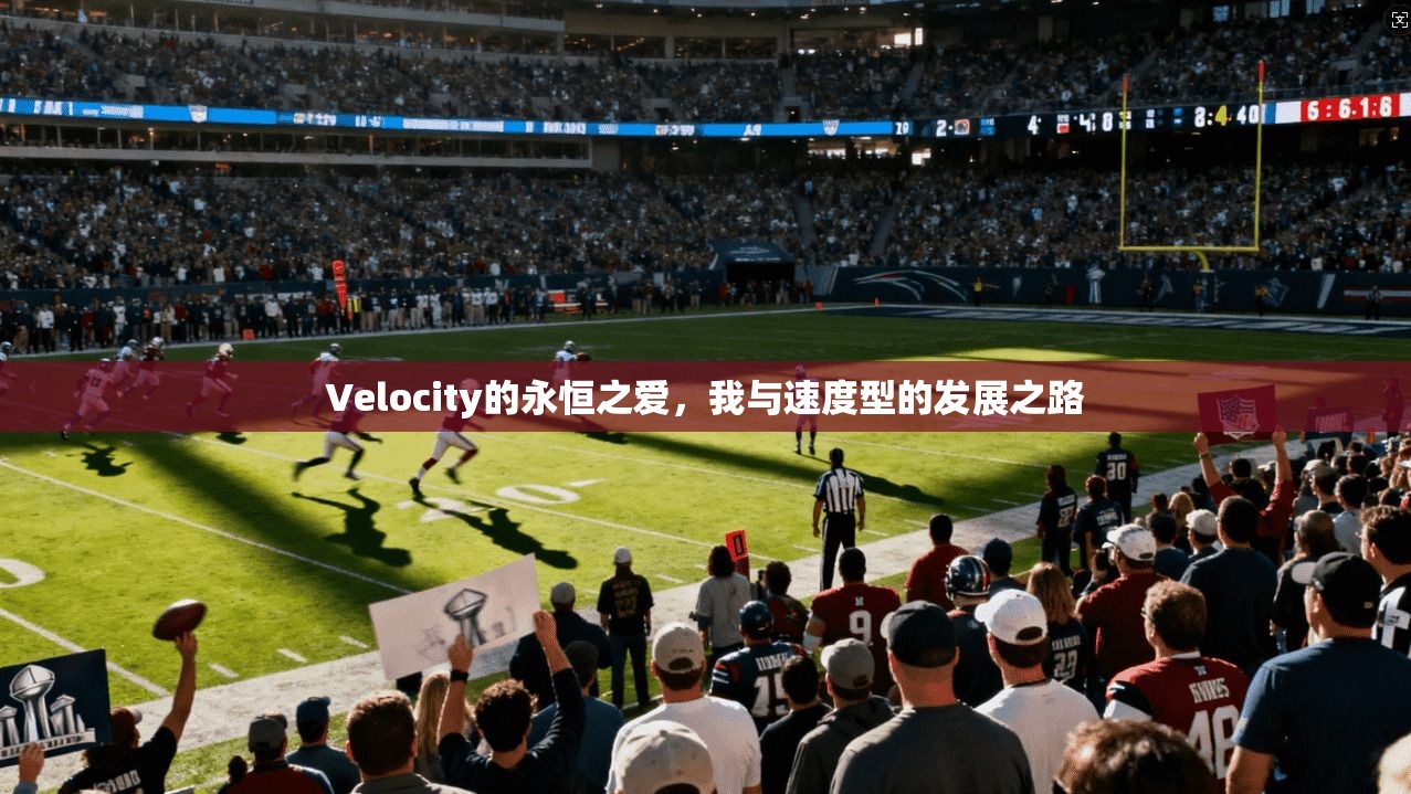 Velocity的永恒之爱,我与速度型的发展之路 第1张 Velocity的永恒之爱,我与速度型的发展之路 第1张