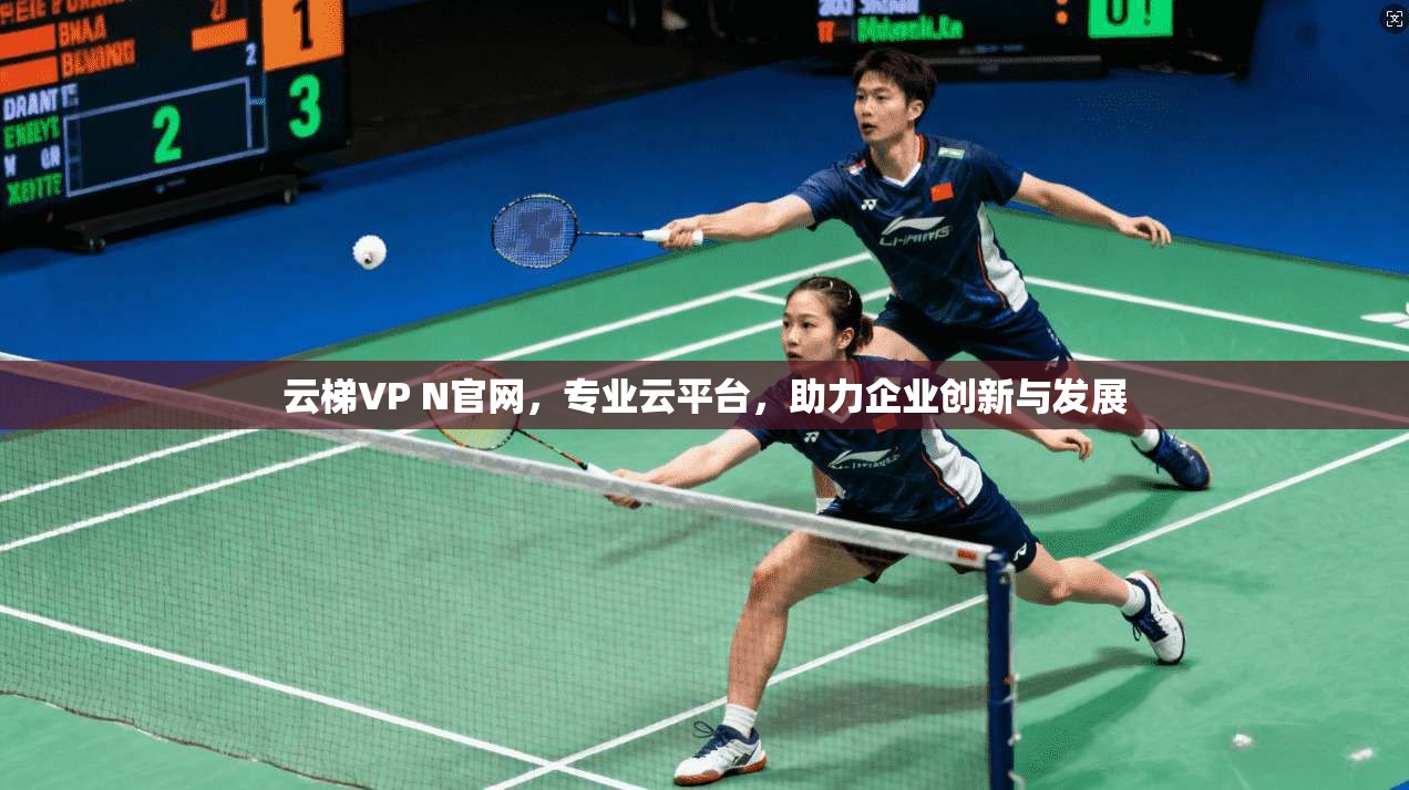 云梯VP N官网，专业云平台，助力企业创新与发展  第1张