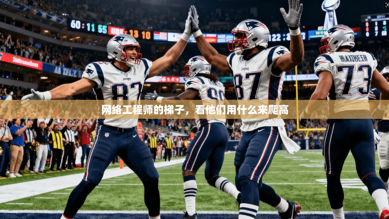 网络工程师的梯子，看他们用什么来爬高  第1张