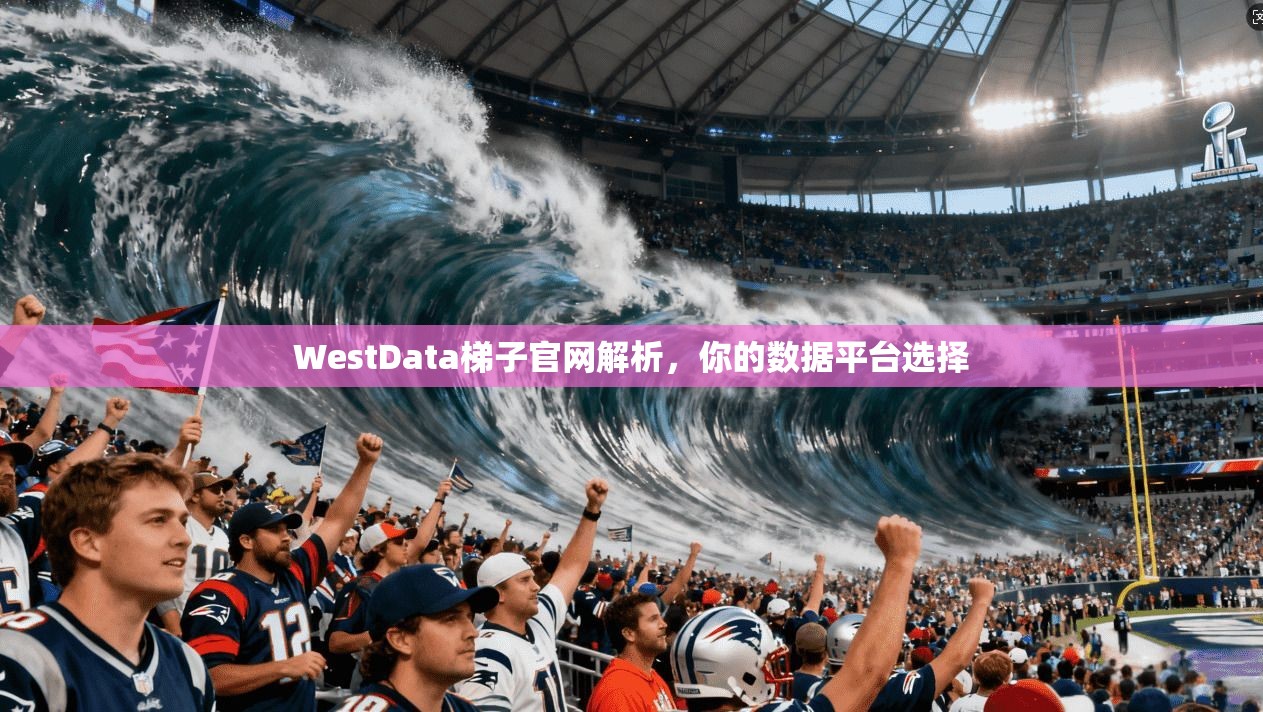 WestData梯子官网解析，你的数据平台选择  第1张