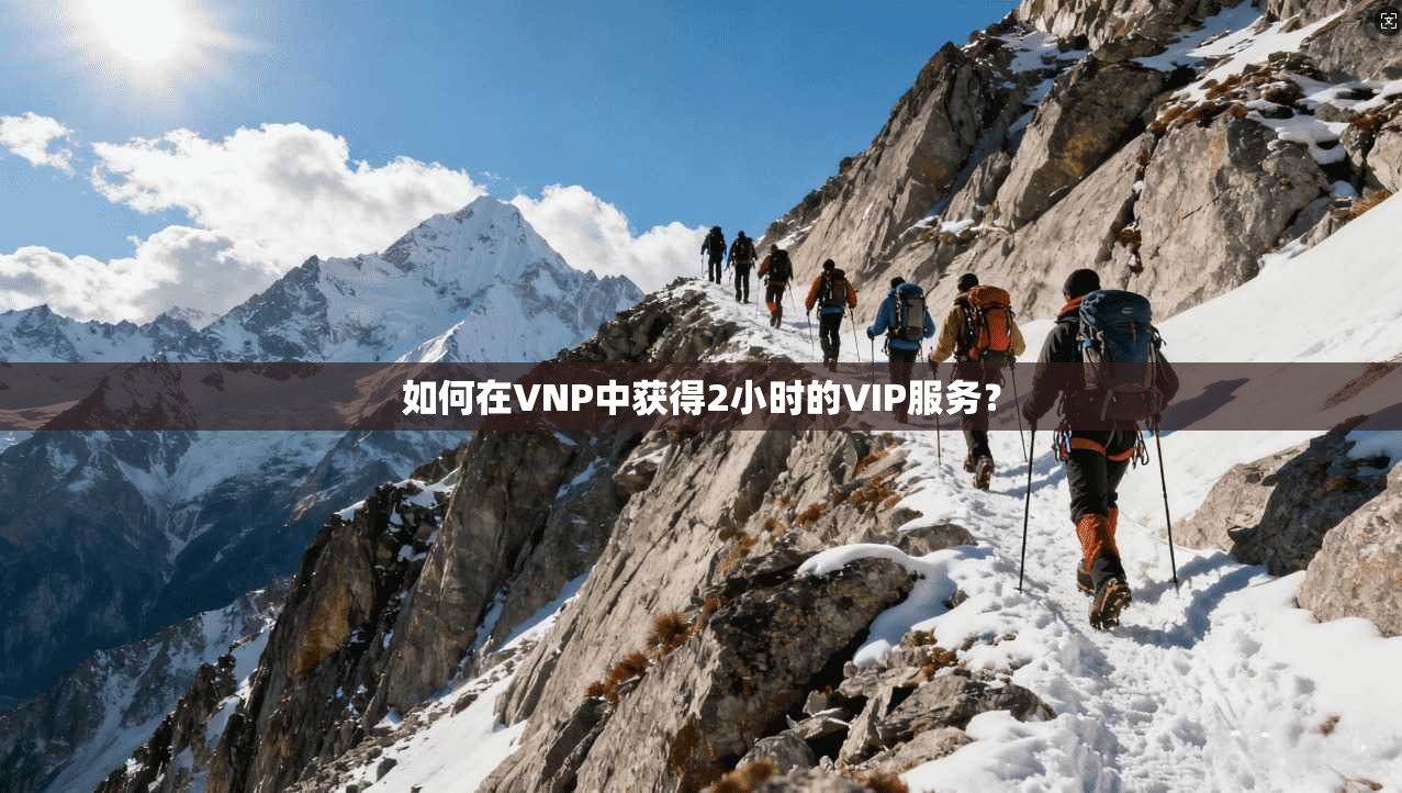 如何在VNP中获得2小时的VIP服务？  第1张
