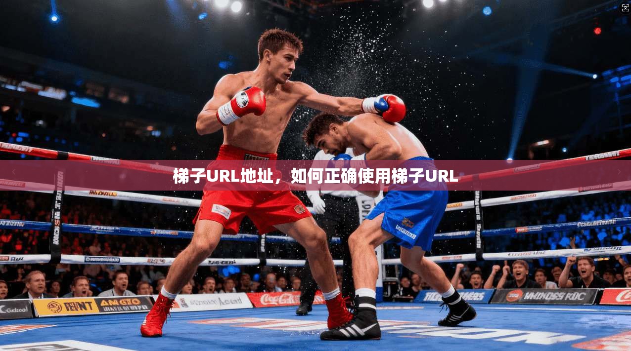 梯子URL地址，如何正确使用梯子URL  第1张