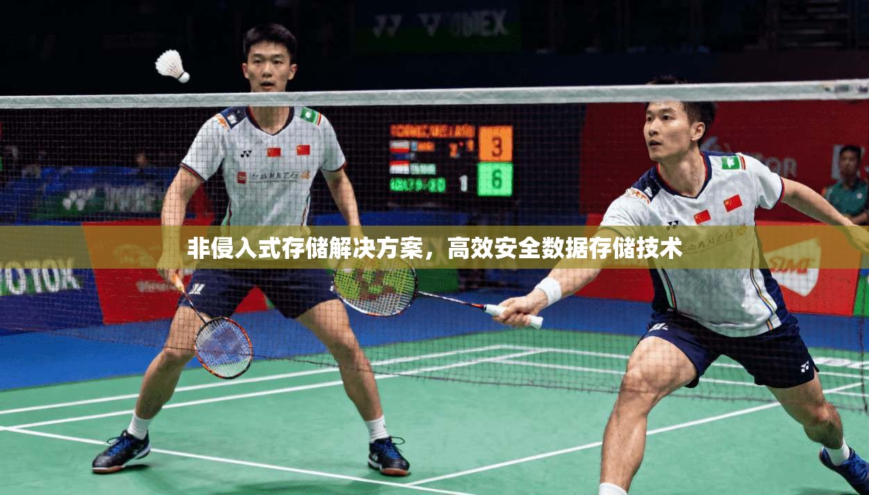 非侵入式存储解决方案，高效安全数据存储技术  第1张