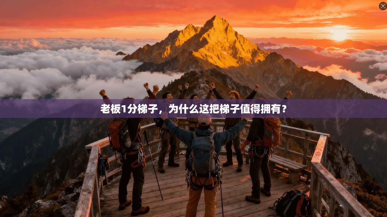 老板1分梯子，为什么这把梯子值得拥有？  第1张