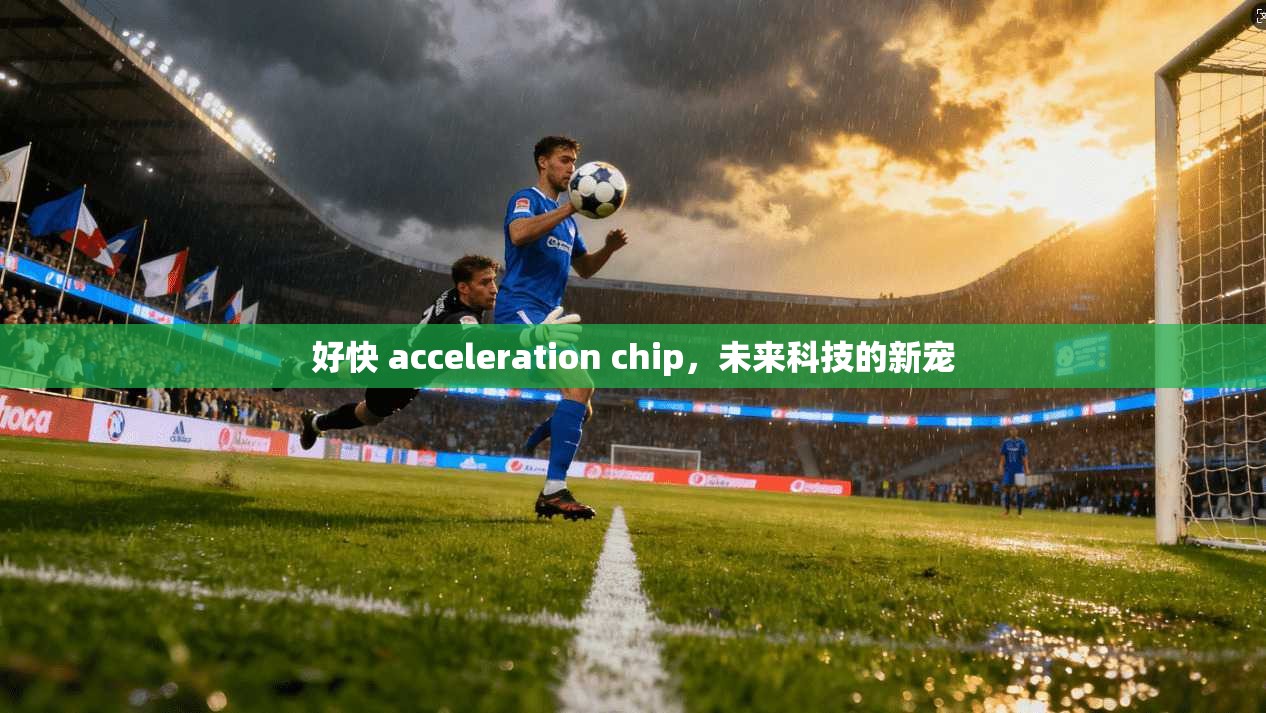 好快 acceleration chip，未来科技的新宠  第1张