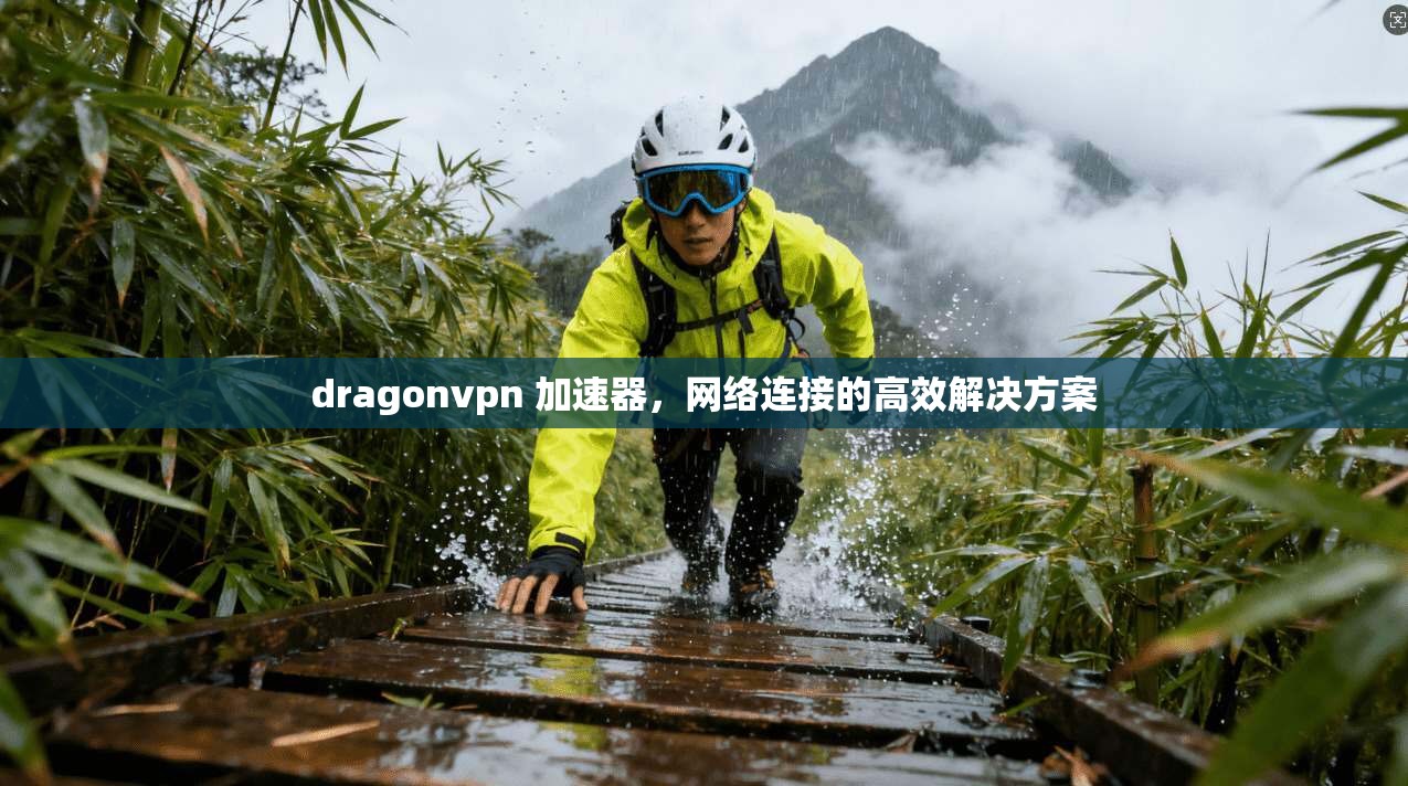 dragonvpn 加速器，网络连接的高效解决方案  第1张
