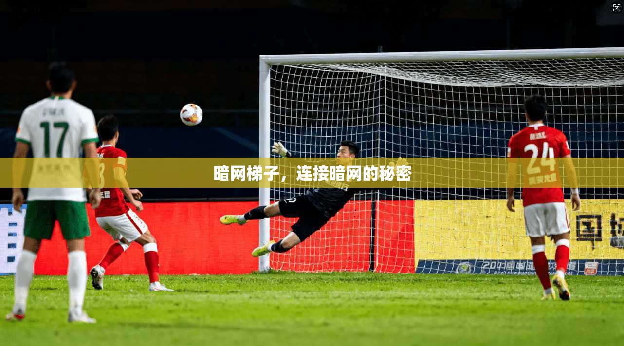 暗网梯子,连接暗网的秘密 第1张 暗网梯子,连接暗网的秘密 第1张