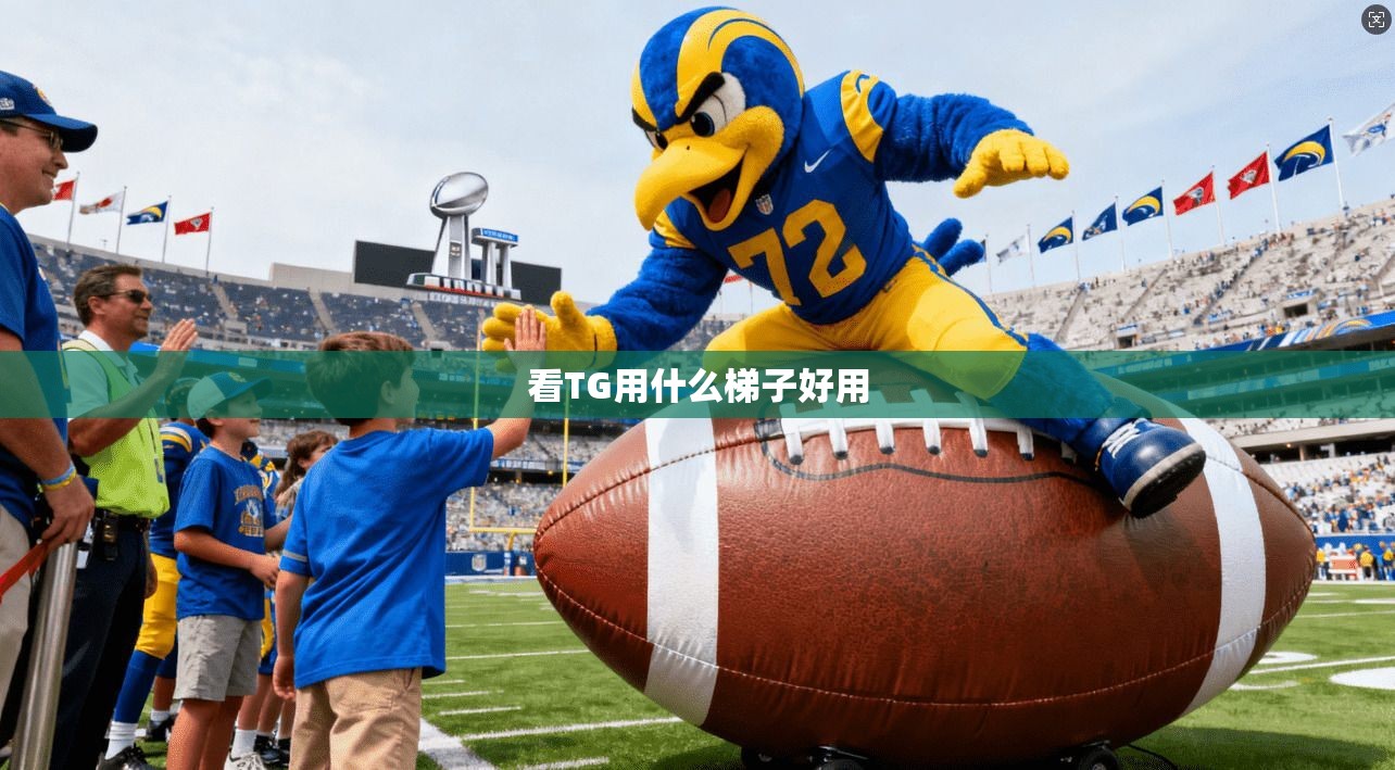 看TG用什么梯子好用  第1张
