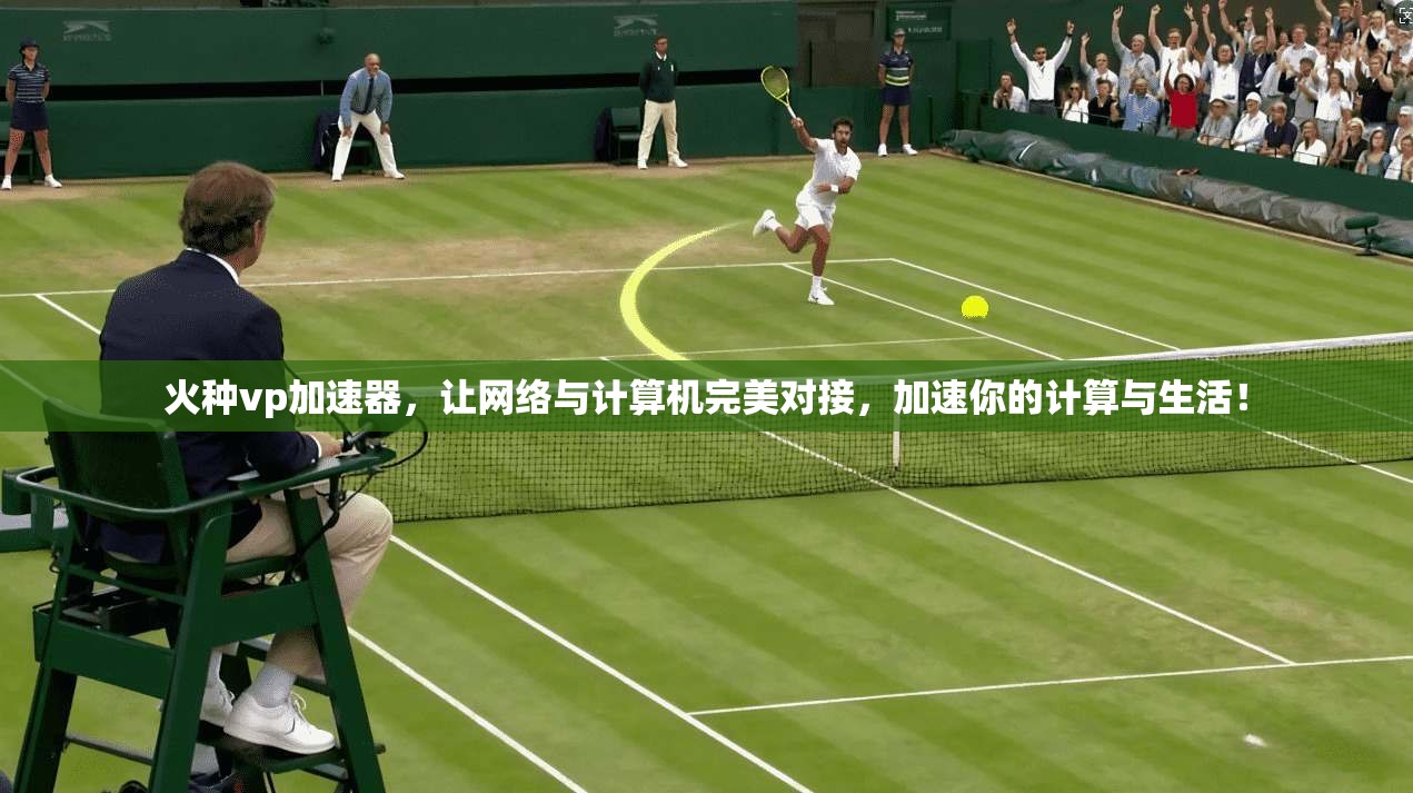 火种vp加速器，让网络与计算机完美对接，加速你的计算与生活！  第1张