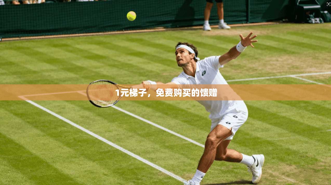 1元梯子,免费购买的馈赠 第1张 1元梯子,免费购买的馈赠 第1张