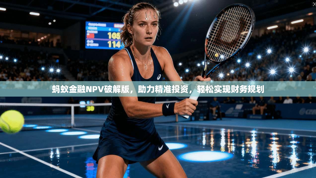 蚂蚁金融NPV破解版，助力精准投资，轻松实现财务规划  第1张